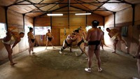 Sumo adalah olahraga tradisional yang sudah bertahan sejak abad 15 di Jepang. Para pesumo ini harus berlatih selama lebih dari 3 jam, setiap harinya. Salah satu contohnya bisa dilihat di Sasana Tomozuna, milik pesumo kelahiran Mongolia bernama Tomozuna Oyakata (Issei Kato/Reuters)