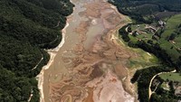 Terlihat sedikit air yang keruh mengalir di sungai yang melewati hutan yang hijau. Perpaduan yang kontras bukan?  (Nacho Doce/ Reuters)