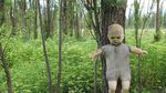 Foto: Kamu Pasti Tidak Berani Datang ke Pulau Boneka Ini