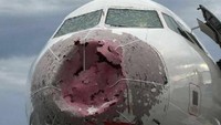 Pesawat mendarat dengan selamat. Namun hidung pesawat rusak parah. Ini sulit, tapi yang terutama, orang-orang selamat, ucap pilot Alexander Akopov. news.com.au