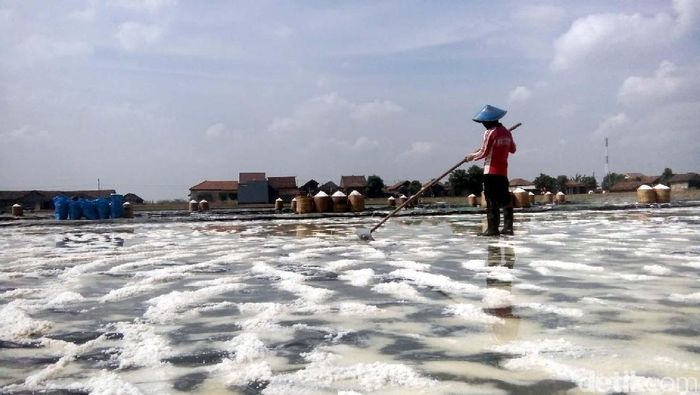 Ilustrasi lahan garam/Foto: Wikha Setiawan/detikcom Ilustrasi lahan garam/Foto: Wikha Setiawan/detikcom