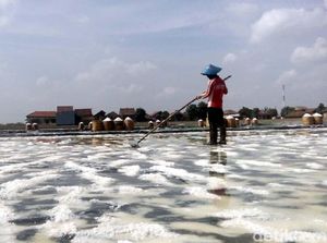 Proses Lahan di NTT Alot, PT Garam: Ada Kesan Masuk Paksa, Panah