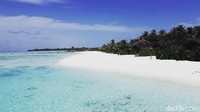 Pasir pantai yang putih dan jernihnya air laut menjadi perpaduan yang elok di pandang di Club Med Finolhu Maldives. Menggoda buat basah-basahan (Afif/detikTravel)