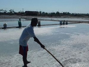 Garam Langka Tak Ganggu Bisnis Indofood