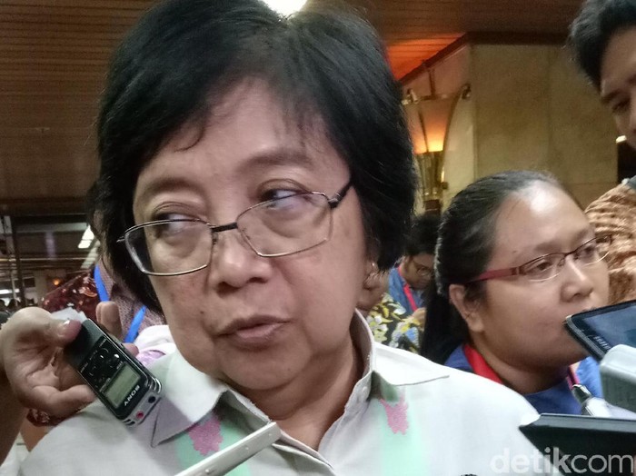 Jokowi Sebut Pengelolaan Hutan Monoton, Ini Respons Menteri Siti