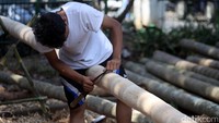 Sebelum dijual, batang pinang ini dikuliti terlebih dahulu dan dibersihkan agar licin.