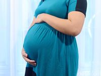 Program Motor Hamil Naik