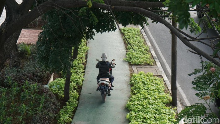 754 Kendaraan Terjaring Razia dalam Sepekan Bulan Tertib Trotoar