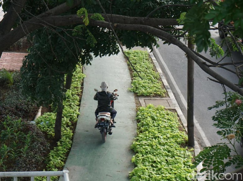 Trotoar Rindang di Daan Mogot Ini Juga Diterobos Pemotor Trotoar Rindang di Daan Mogot Ini Juga Diterobos Pemotor