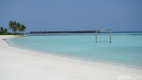 Siapa yang mau berfoto di ayunan di Club Med Finolhu Maldives ini? (Afif/detikTravel)