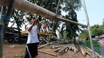 Geliat Bisnis Pohon Pinang Jelang HUT RI