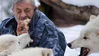 Semenjak bayi serigala ini diberi makan melalui mulutnya ke mulut serigala. Jadi mereka sudah terbiasa makan berbagi dengan Werner (Lisi Niesner/Reuters)