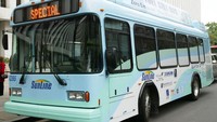 Di Washington sejumlah bus juga telah bertenaga listrik. Alex Wong/Getty Images.