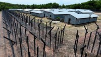 Phu Quoc Prison dijadikan monumen sejak tahun 1993. Traveler yang berkunjung ke sini bisa melihat langsung berbagai bentuk patung tentara dan tahanan yang menghiasi rutan  (phuquocprison.org)