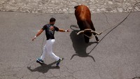 Dari sekian banyak warga yang ikutan, pasti ada yang bertingkah laku seperti ini. Sok berani menantang Sang Banteng, tetapi begitu dikejar, dia akan lari terbirit-birit (Jon Nazca/Reuters)