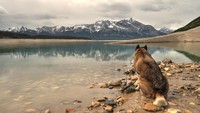 Danau Abraham ini tampak cantik di sepanjang tahun, dengan air yang jernih, area yang berih dari sampah dan latar pegunungan bersalju (Thinkstock)