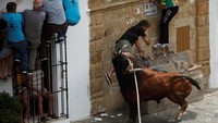 Festival Toro de Cuerda atau Festival Banteng Terikat Tali adalah festival tahunan yang digelar di Kota Grazalema, Cordoba, Spanyol. 3 Ekor banteng yang terikat tali, dilepas dan dibiarkan lari secara liar di jalanan kota. Para warga pun berlarian untuk menyelamatkan diri (Jon Nazca/Reuters)