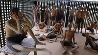 Ada lebih dari 32.000 tahanan yang ada di Phu Quac. Namun saat-saat tertentu jumlah tahanan akan bertambah menjadi 40.000 dengan tambahan tahanan politik  (phuquocprison.org)