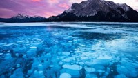 Ukuran gelembungnya beragam, dari yang kecil sampai diameternya bisa mencapai 1 meter lebih. Gelembung ini bukan air, melainkan gas metana yang berasal dari tanah dan tanaman di dasar Danau Abraham (Robert Harding/BBC Travel)