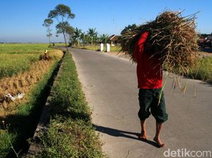 Prakiraan Cuaca Bandung, Sabtu 26 Agustus 2023: Cerah Berawan