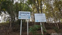 Pasir Lulumpang artinya bukit yang memiliki lumpang (tempat menumbuk padi). Situs ini menjadi benda cagar budaya Disbudpar Kabupaten Garut (Fitraya/detikTravel)