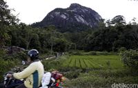 Bukit Kelam yang menjulang tinggi (Rachman Haryanto/detikTravel)