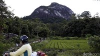 Hampir keseluruhan bukit tersebut terdiri dari batu, membuatnya begitu unik sekaligus misterius.