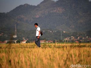 Prakiraan Cuaca Bandung, Kamis 17 Agustus 2023: Cerah