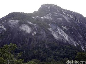 Misteri Batu Raksasa di Kalimantan