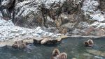 Foto: Lembah Neraka Versi Jepang