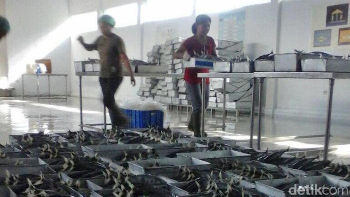 Foto: Pool/Perum Perindo. Foto: Pool/Perum Perindo.