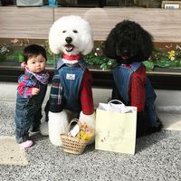 Gemes Banget! Bayi dan Anjing Ini Sering Pakai Baju Kembar 