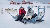 Terdapat 51 operator tur wisata yang akan memandu traveler menjelajahi Greenland seperti Greenland Tours, Greenland Travel, Blue Ice Explorer, Arctic Friend dan Discover the World (Visit Greenland)