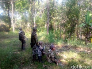 Pakar UGM: Tembak Mati Monyet di Boyolali Tak Selesaikan Masalah