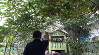 Suasana sejuk langsung terasa begitu memasuki RW 07 Kebayoran Lama Selatan.