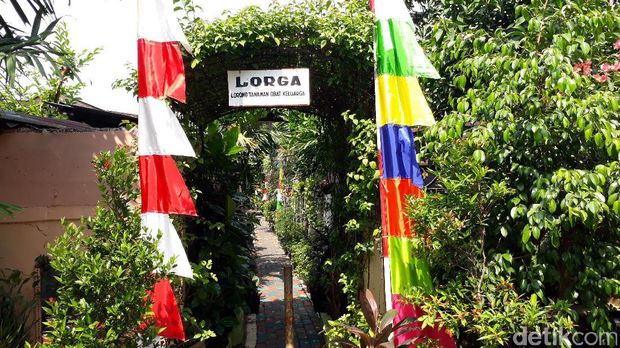 Lorong tanaman obat di mana kalau warga butuh, tinggal petik. Sehat ya!