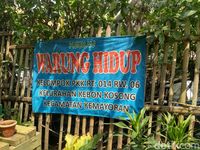 Serunya Warga Kebon Kosong Panen Sayur di Tengah Kota Jakarta