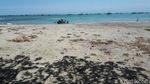 Foto: Tempat Munculnya Pulau Jawa