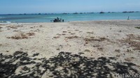 Ciletuh punya culture di Kampung Adat Ciptagelar, biodiversity, kawasan konservasi, rafflesia patma, penyu dan lainnya. Luas Geopark Ciletuh sekitar 126 ribu hektar (Mukhlis Dinillah/detikTravel)