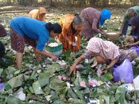 Warga memunguti nasi yang bisa diselamatkan