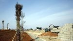 Pembangunan Taman untuk Percantik Tanggul Laut Kalibaru