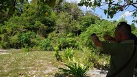 Tidak hanya bisa berenang atau berswafoto, Pulau Kunti juga bisa menjadi spot mancing. Selain itu, hutan yang ada di Pulau Kunti juga terdapat flora dan fauna yang langka dan dilindungi (Mukhlis/detikTravel)
