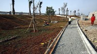 Pekerja melakukan pembuatan taman.