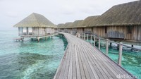 Club Med memiliki dua resor di Maldives yang lokasinya berdekatan, yakni Club Med Kani Maldives Club Med Finolhu Maldives. Jaraknya pun hanya sekitar 30 menit dari Bandara Velana di Kota Male (Afif/detikTravel)