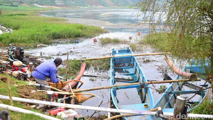 Disedot untuk Tanaman Kentang, Air Telaga Merdada Mengering,