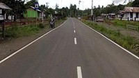 Rencananya ruas jalan tersebut juga akan dibangun 263 jembatan dengan total panjang 6.421,90 meter. (Kementerian PUPR).