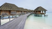 Harga per malam di Club Med Kani Maldives dibanderol mulai dari Rp 20 juta untuk 2 orang selama 4 hari 3 malam. Kalau di Overwater alias di atas air, harganya mulai dari Rp 35 juta (Afif/detikTravel)