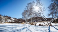 Suhu 20 derajat celcius pada musim panas. Kalau di musim dingin mencapat minus 30 derajat Celcius. Bisa bayangkan betapa dinginnya? (Reuters)
