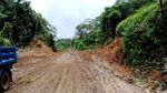 Foto: Mau Lihat Jalan Trans Papua Dibangun? Nih Foto-fotonya