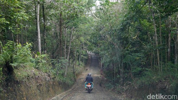 (Kurnia/detikTravel)